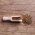 Coriandolo