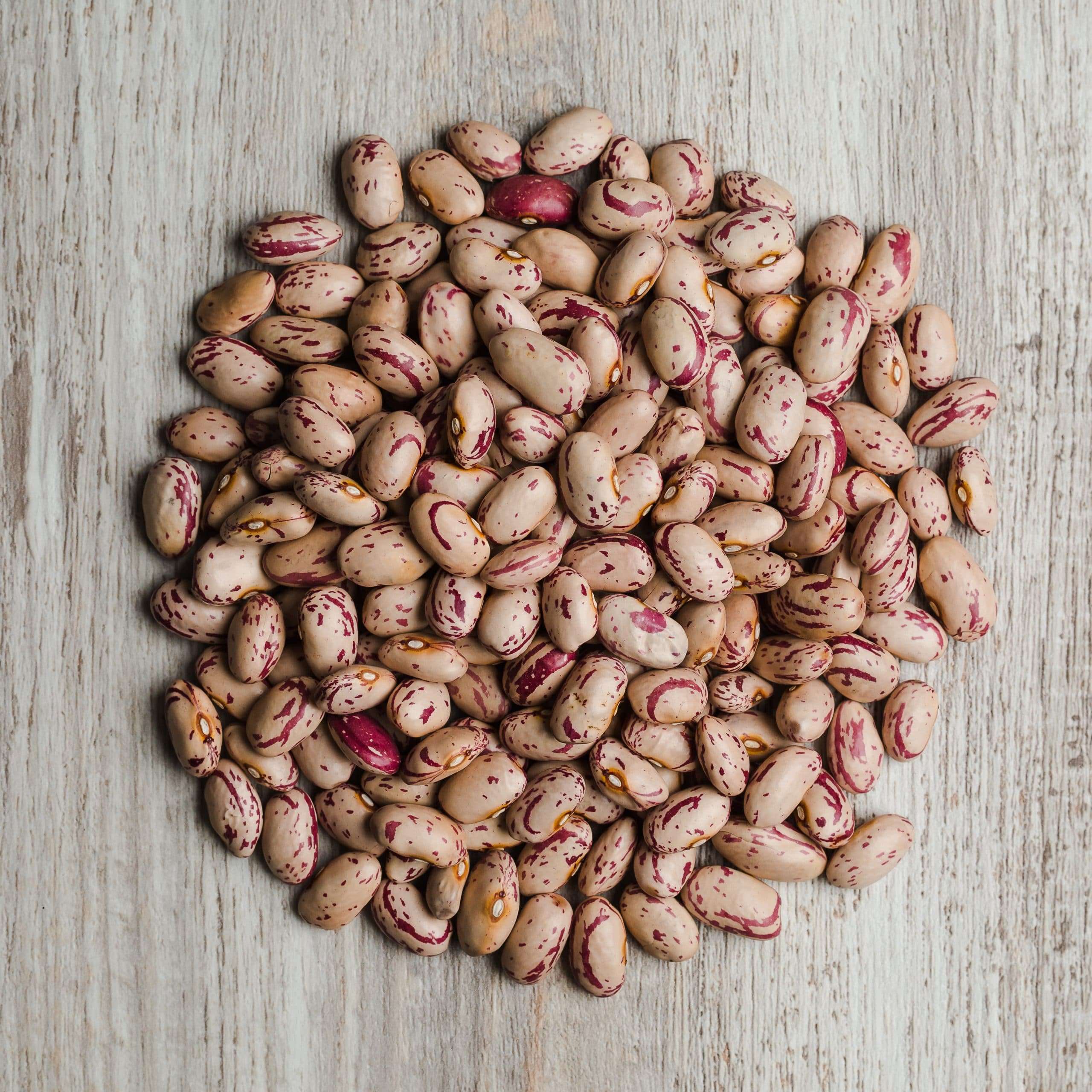 Fagioli Borlotti