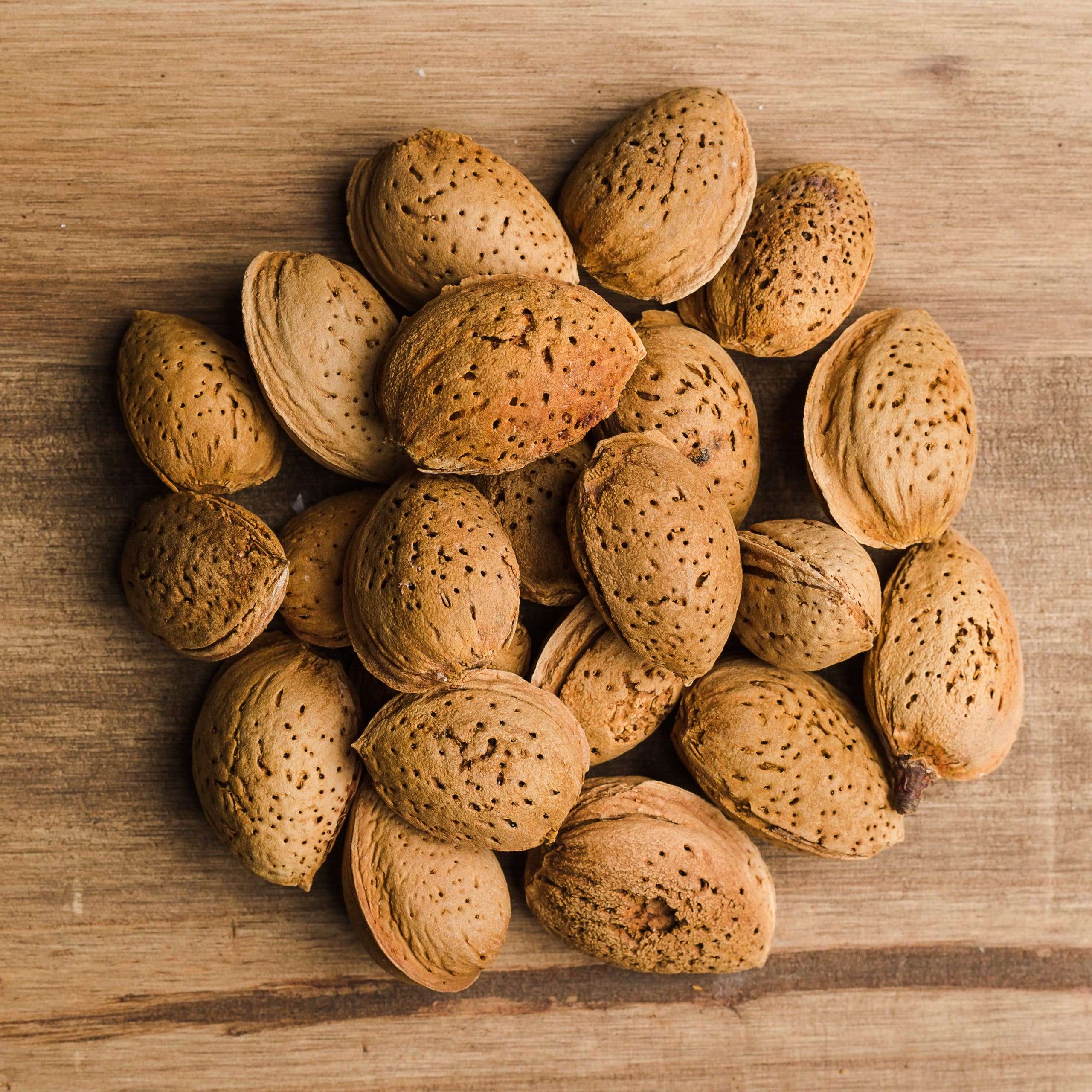 🌰 Mandorle Tuono in Guscio – Varietà Italiana Premium