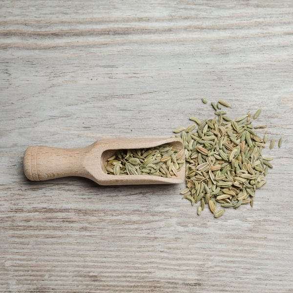 🌿 Semi di Finocchio - Finocchietto Selvatico Italiano