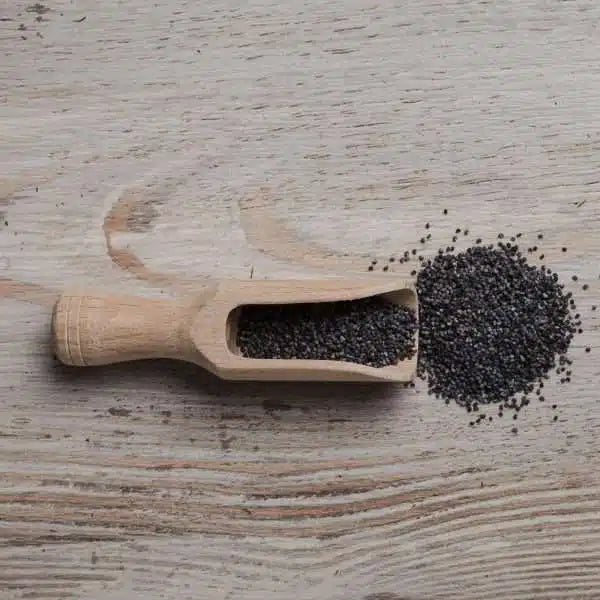 🌺 Semi di Papavero